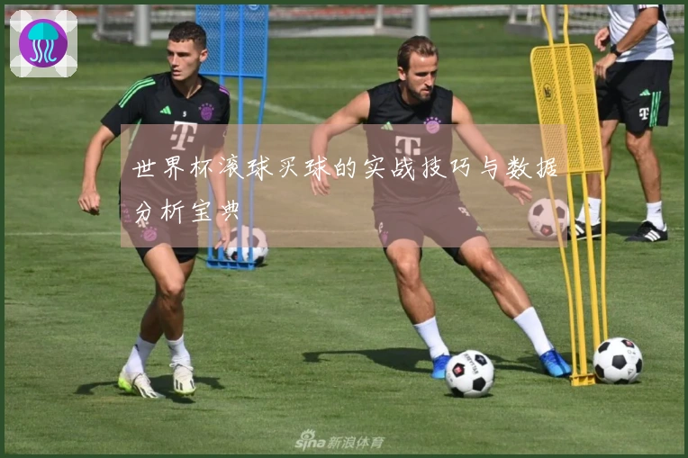 世界杯滚球买球的实战技巧与数据分析宝典