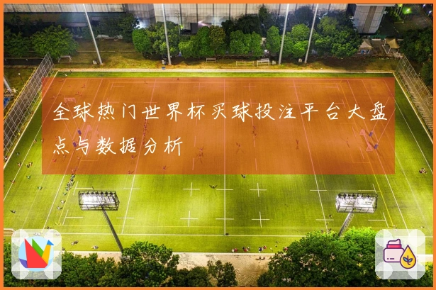 全球热门世界杯买球投注平台大盘点与数据分析