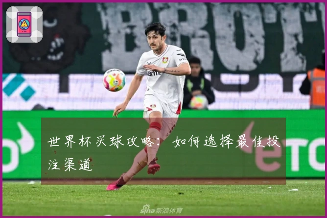 世界杯买球攻略：如何选择最佳投注渠道