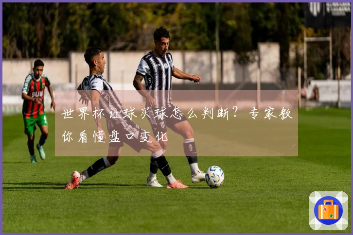 世界杯让球买球怎么判断？专家教你看懂盘口变化
