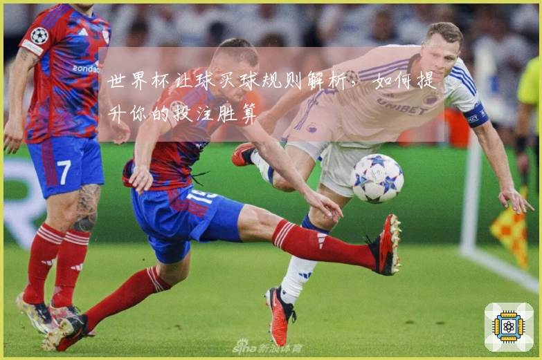 世界杯让球买球规则解析，如何提升你的投注胜算