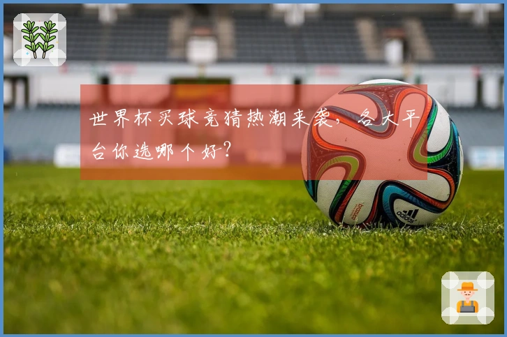 世界杯买球竞猜热潮来袭，各大平台你选哪个好？