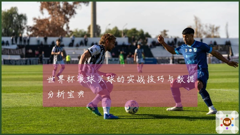 世界杯滚球买球的实战技巧与数据分析宝典