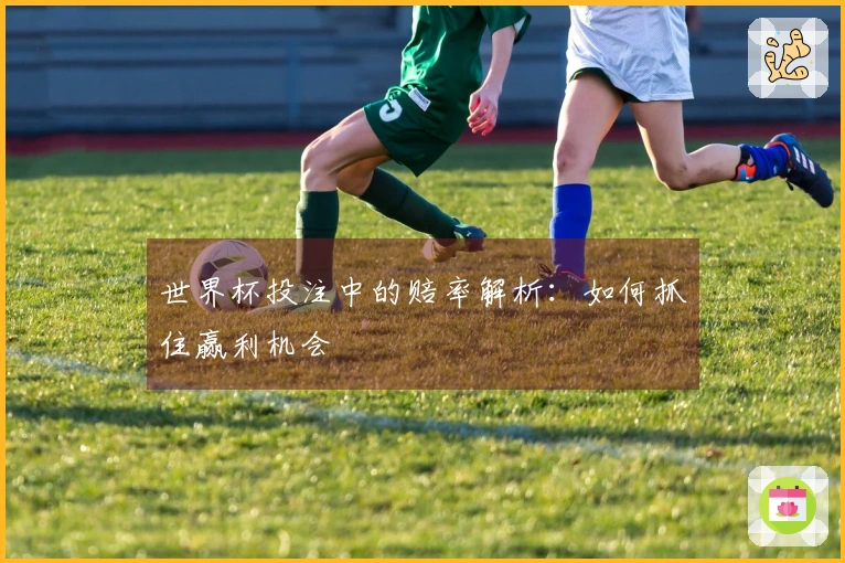 世界杯投注中的赔率解析：如何抓住赢利机会