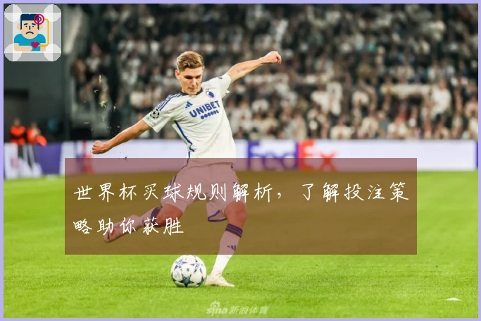世界杯买球规则解析，了解投注策略助你获胜