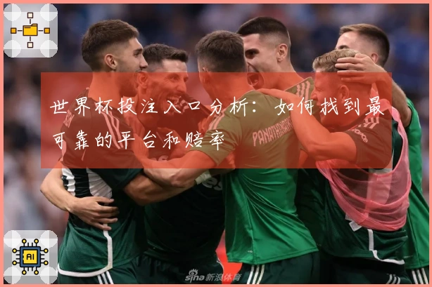 世界杯投注入口分析：如何找到最可靠的平台和赔率