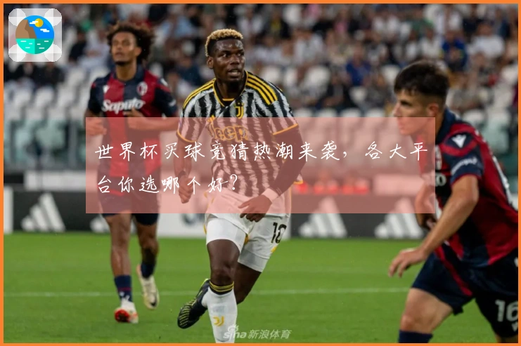 世界杯买球竞猜热潮来袭，各大平台你选哪个好？