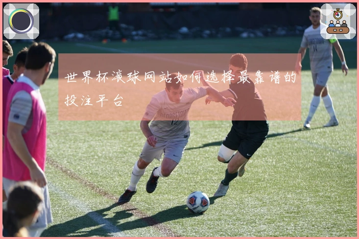 世界杯滚球网站如何选择最靠谱的投注平台