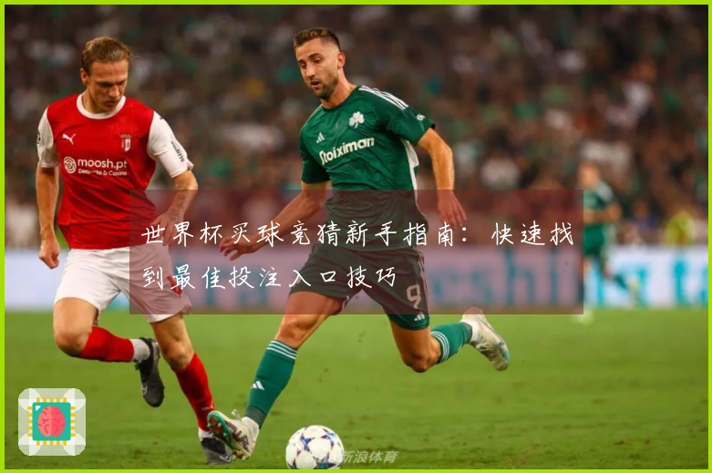 世界杯买球竞猜新手指南：快速找到最佳投注入口技巧