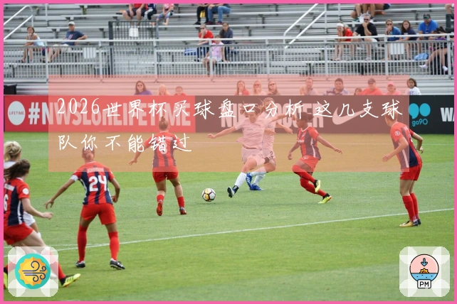 2026世界杯买球盘口分析 这几支球队你不能错过