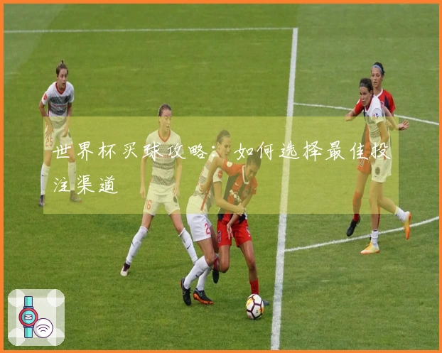 世界杯买球攻略：如何选择最佳投注渠道