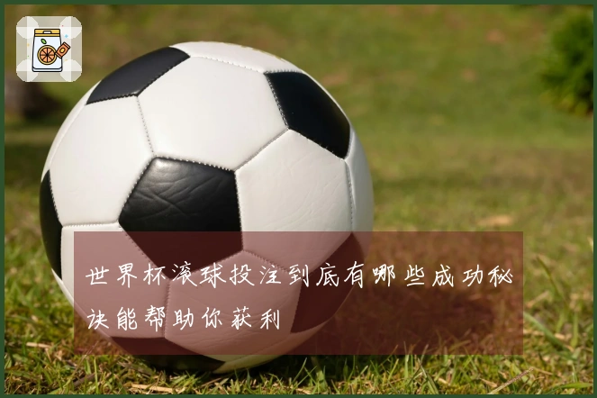 世界杯滚球投注到底有哪些成功秘诀能帮助你获利