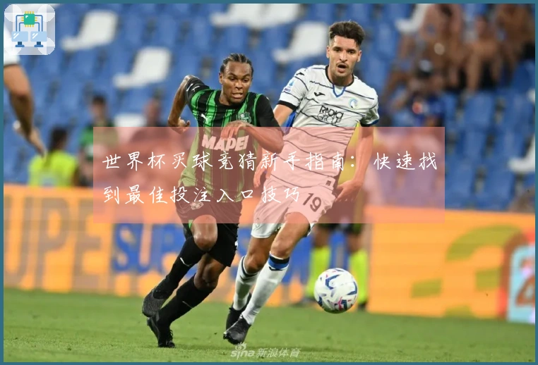 世界杯买球竞猜新手指南：快速找到最佳投注入口技巧
