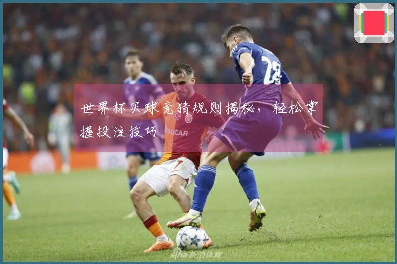 世界杯买球竞猜规则揭秘，轻松掌握投注技巧