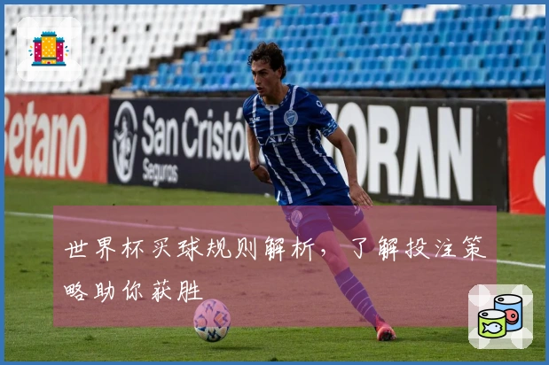 世界杯买球规则解析，了解投注策略助你获胜